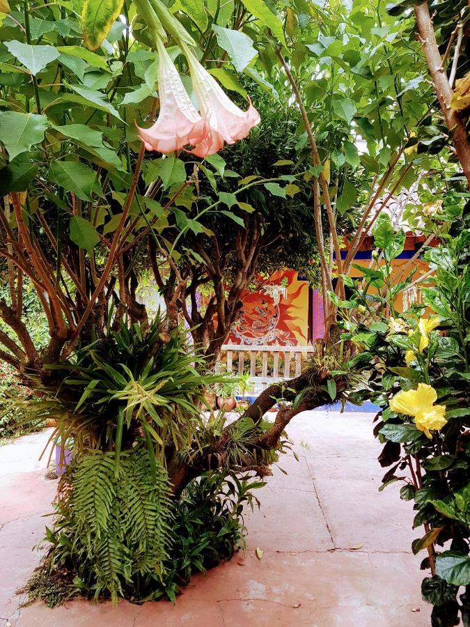 Auberge de jeunesse Qhia à San Cristóbal de Las Casas Extérieur photo