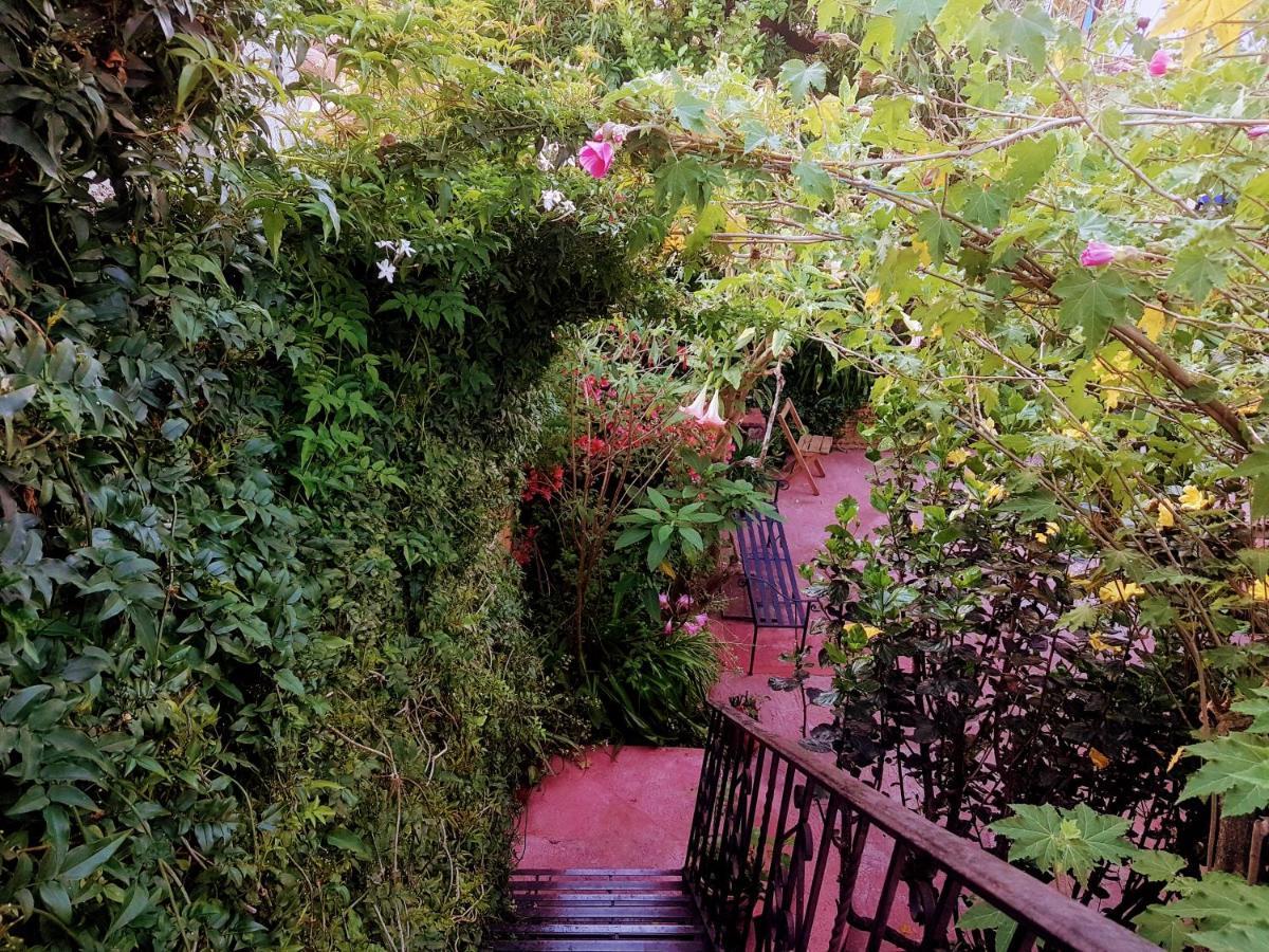 Auberge de jeunesse Qhia à San Cristóbal de Las Casas Extérieur photo