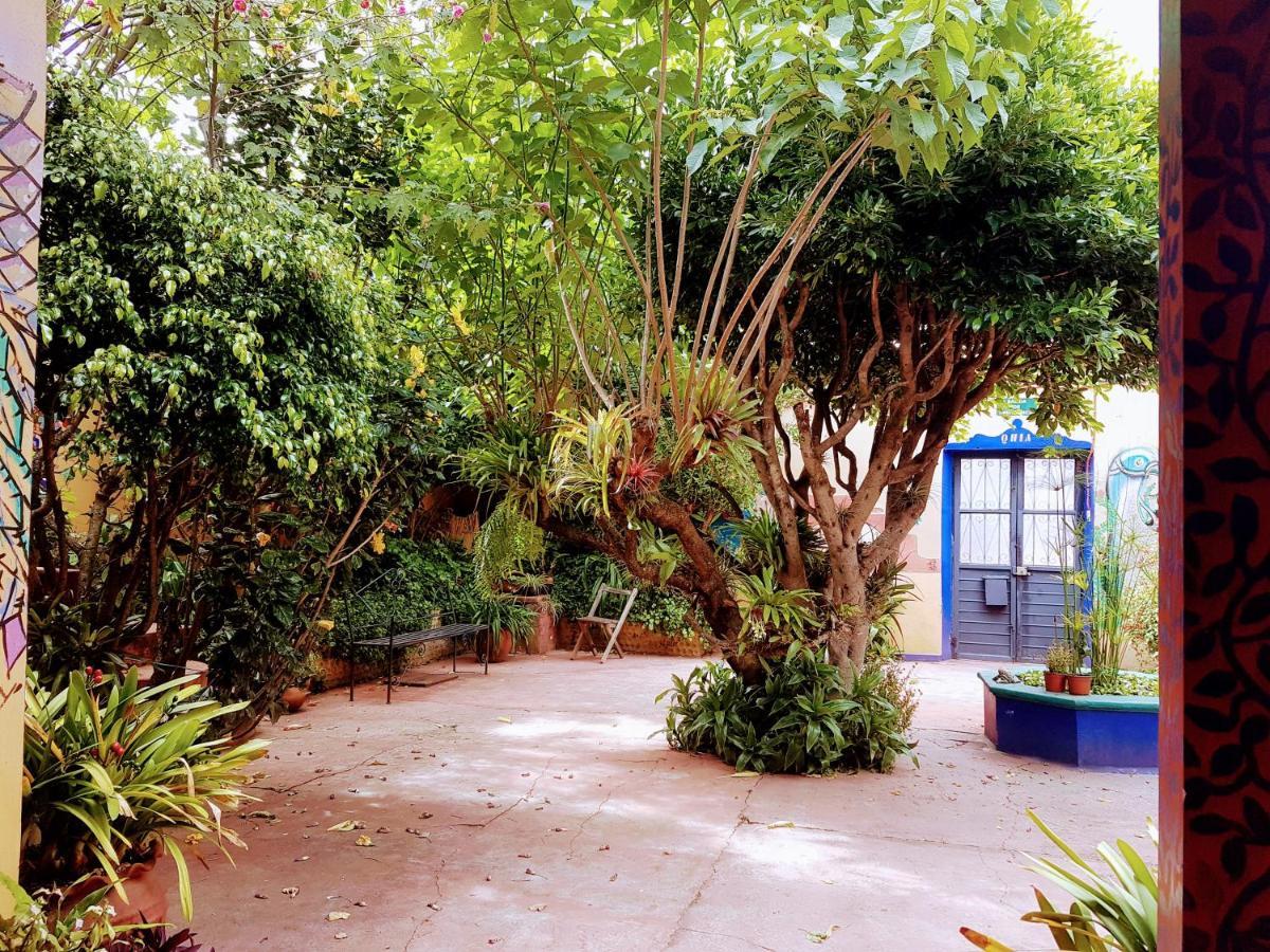 Auberge de jeunesse Qhia à San Cristóbal de Las Casas Extérieur photo