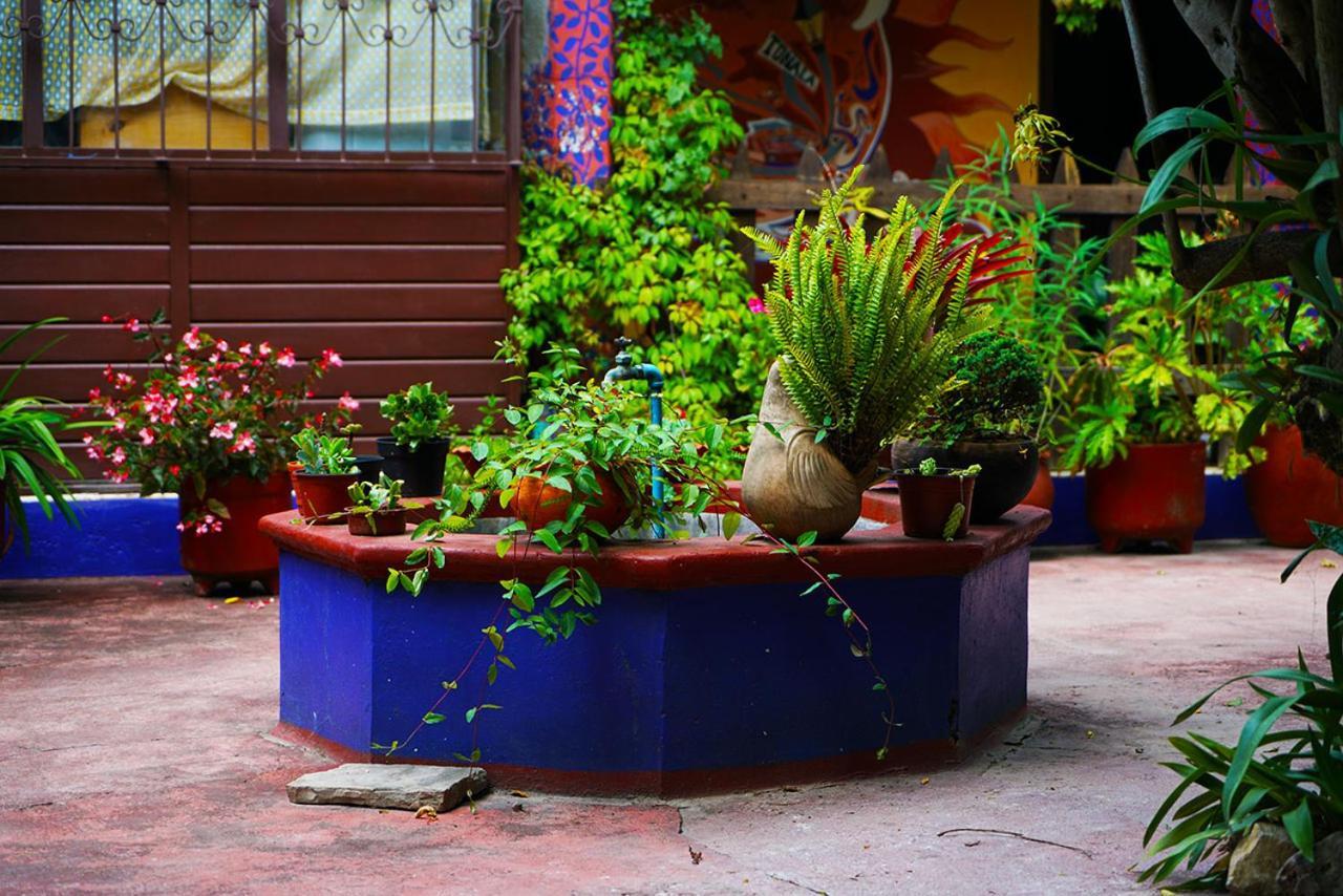 Auberge de jeunesse Qhia à San Cristóbal de Las Casas Extérieur photo