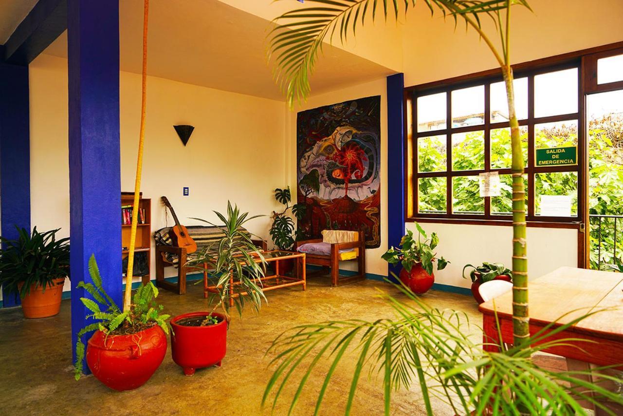 Auberge de jeunesse Qhia à San Cristóbal de Las Casas Extérieur photo