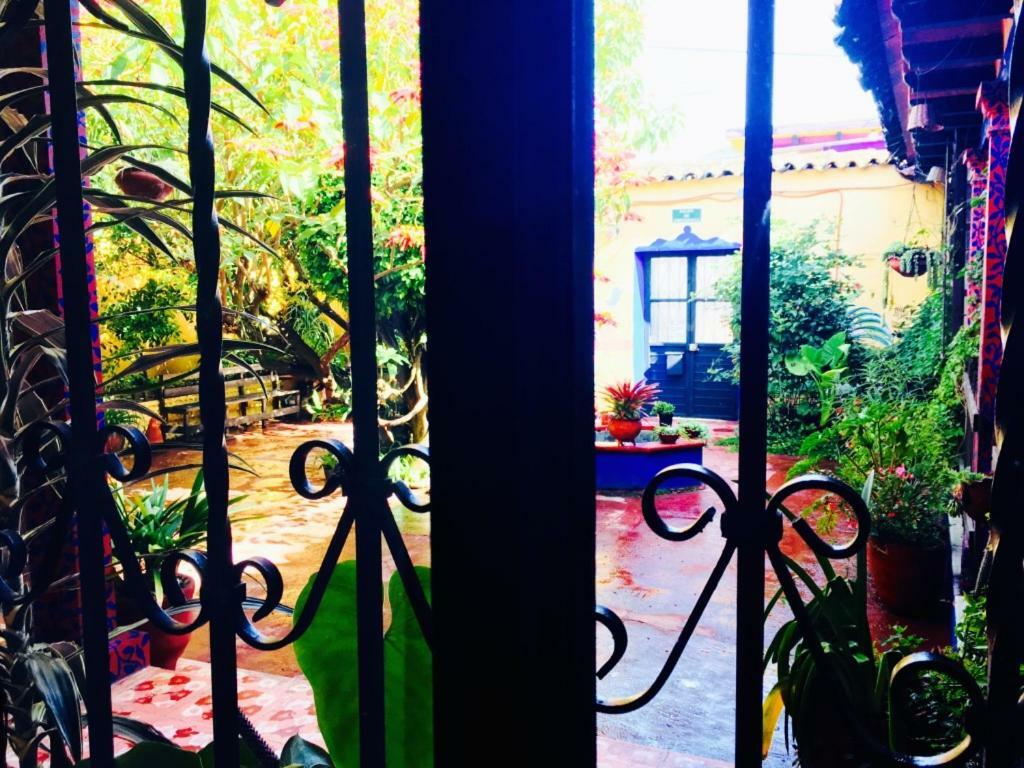 Auberge de jeunesse Qhia à San Cristóbal de Las Casas Extérieur photo